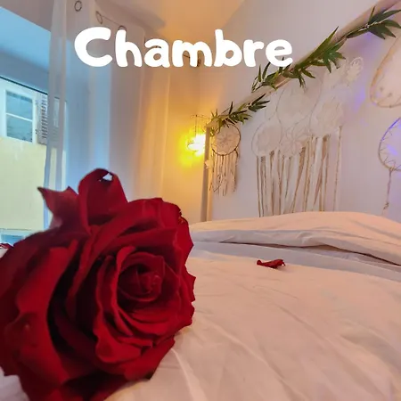 Appartement Zen - Havre De Paix